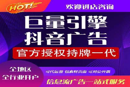 案例分析：信息流平台在电商领域的应用